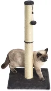 AB scratching post
