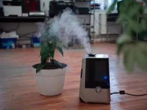 Air Purifier featured img.