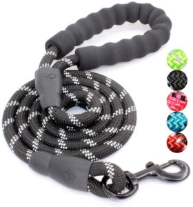 BAAPET Strong Dog Leash with Comfortable Padded Handle