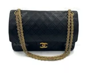 Chanel's Bag