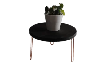 Hairpin Leg Plant stand