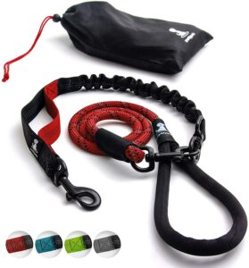 Heavy Duty Rope Leash for Large and Medium Dogs with Anti-Pull Bungee for Shock Absorption