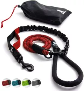 Heavy Duty Rope Leash for Large and Medium Dogs with Anti-Pull Bungee for Shock Absorption