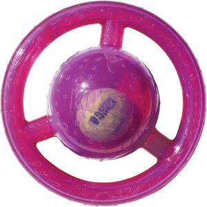 KONG Jumbler Disc Dog Toy