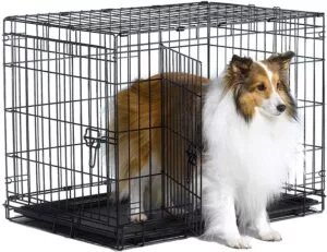 MidWest New World Double Door Folding Metal Dog Crate