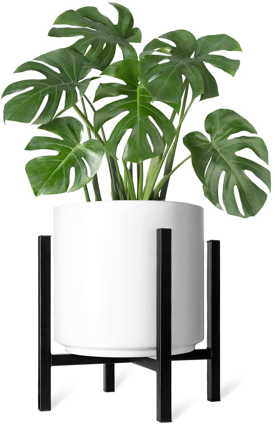 The Best Plant Stands in 2021 RankIt.ca