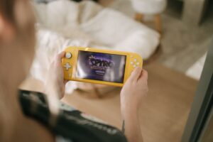 Nintendo Switch Cases
