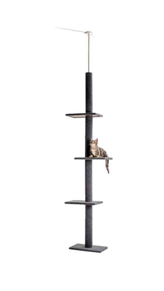 The Best Cat Trees and Towers in Canada Reviews by RankIt.ca