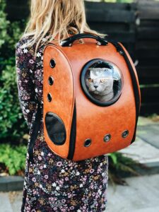Pet Carrier featured image