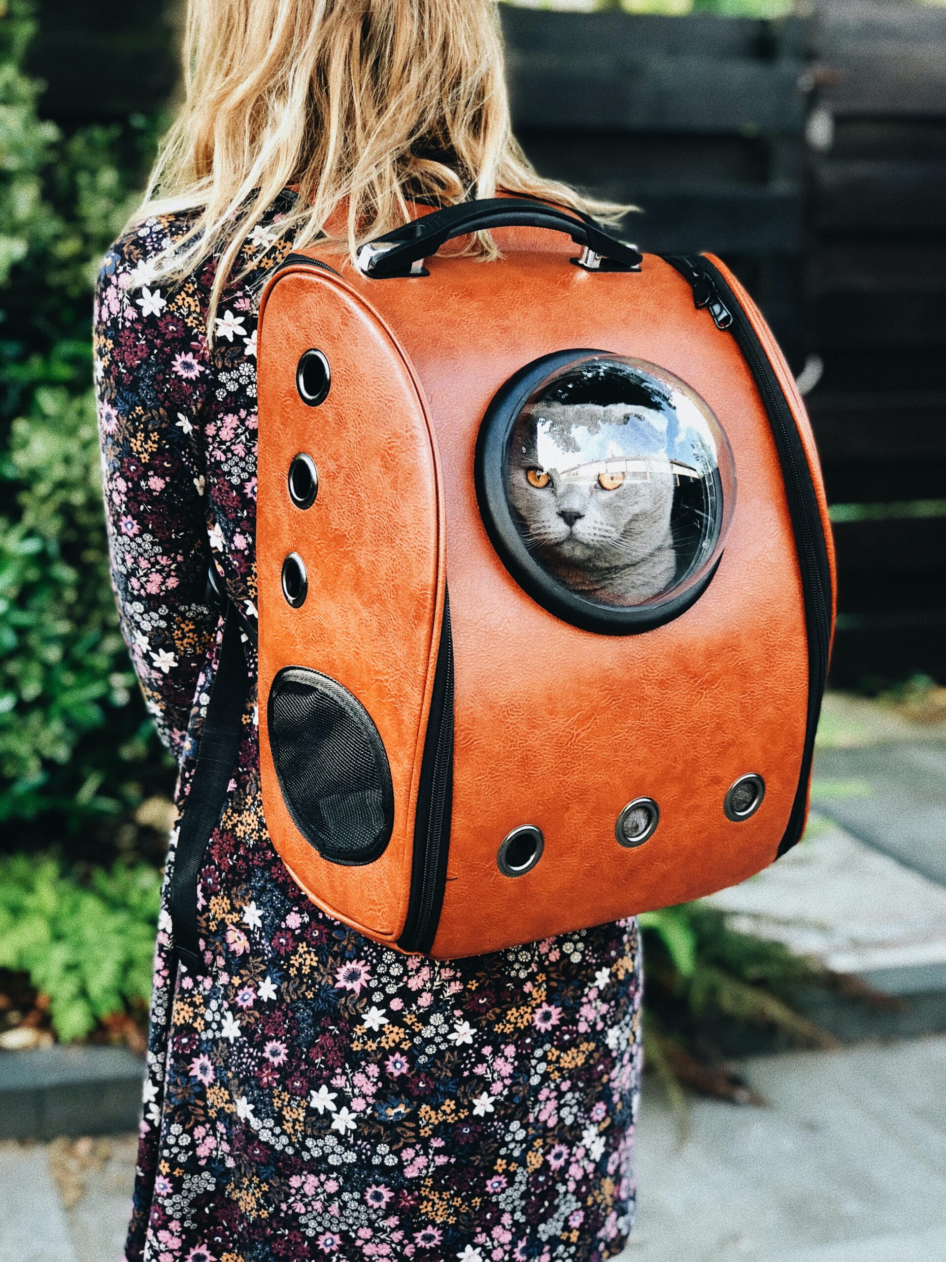 Best Pet Carrier for Cats & Dogs in Canada RankIt.ca