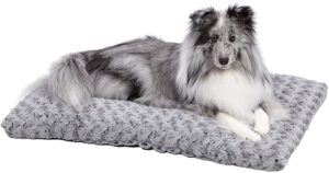 Plush Dog Bed | Ombré Swirl Dog Bed & Cat Bed