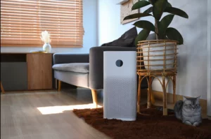 how do air purifiers work