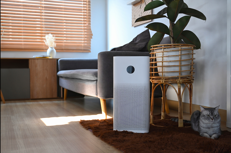 How Do Air Purifiers Work? RankIt.ca