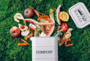 the best compost bins in 2023