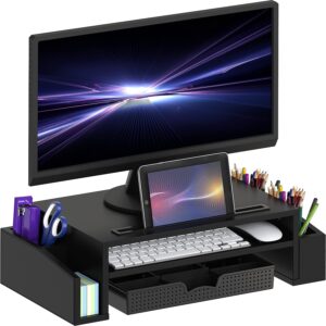 SimpleHouseware Computer Monitor Stand Riser with Desk Organizer