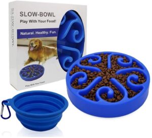 Slow feeder bowl