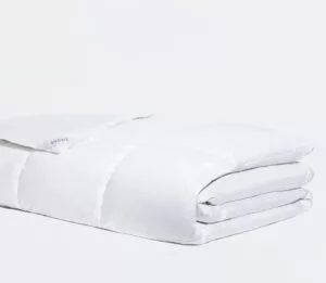 Snowe Lightweight Down Comforter