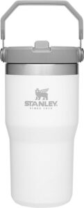 Stanley IceFlow Stainless Steel Tumbler - Vacuum Insulated Water Bottle for Home