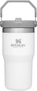 Stanley IceFlow Stainless Steel Tumbler - Vacuum Insulated Water Bottle for Home