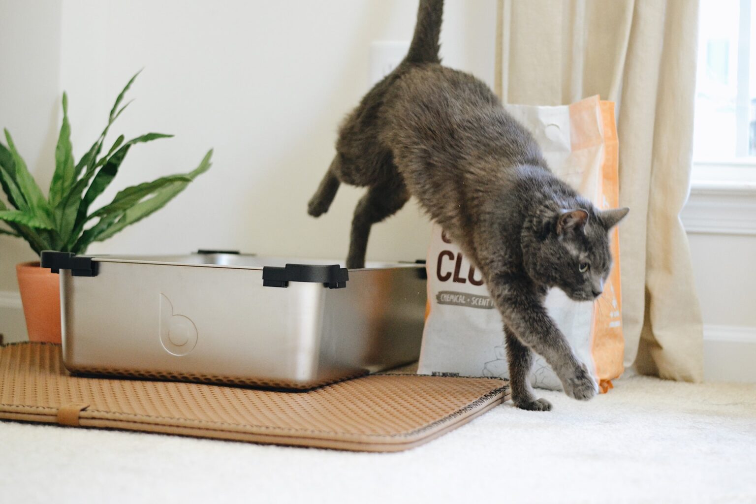 The Best Dog Food In Canada Reviewed In 2023 Rank It ca