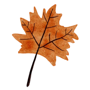 fall leaf icon