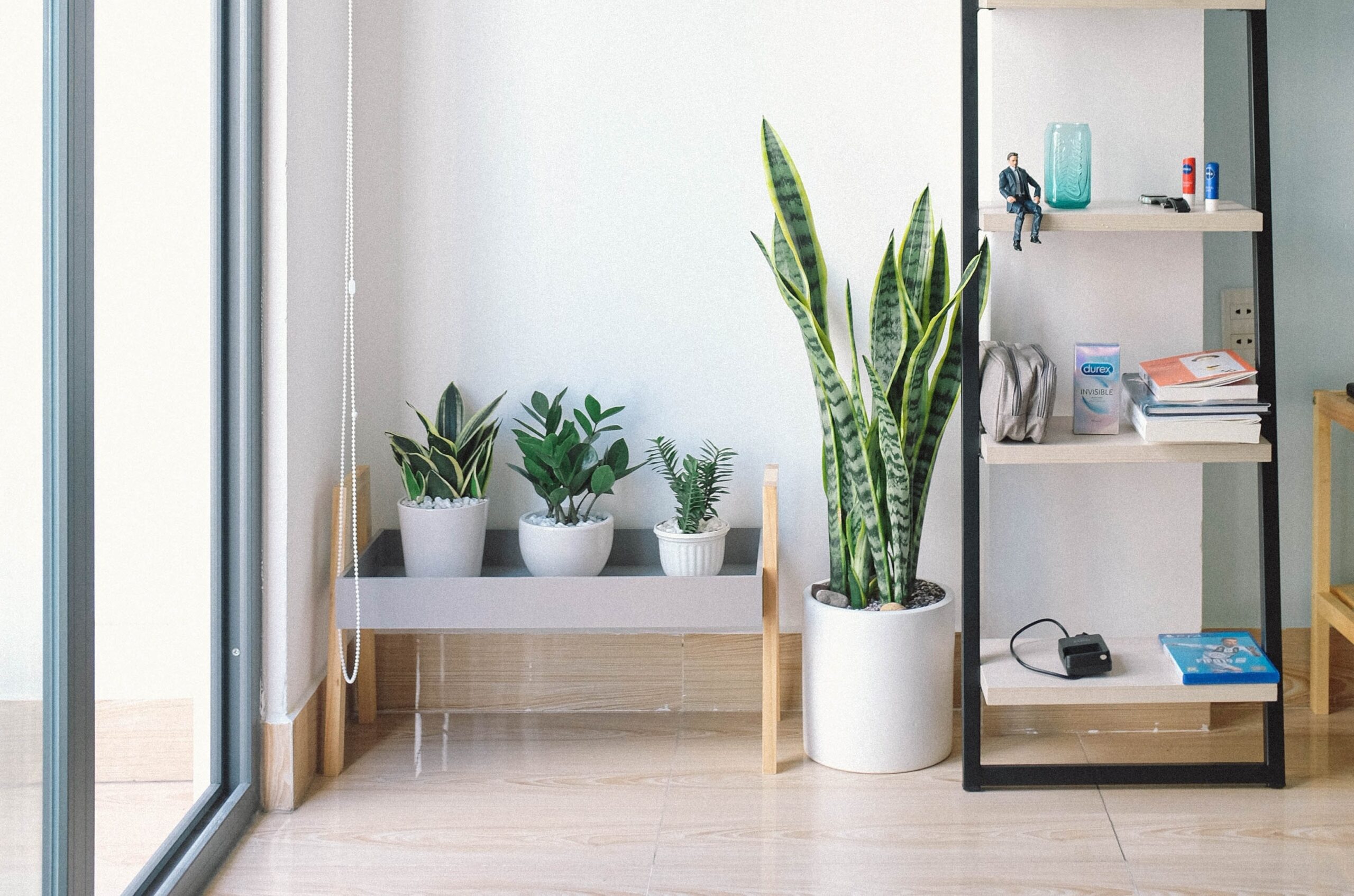 The Best Plant Stands For Your Indoor Garden   Plant Stands Scaled 