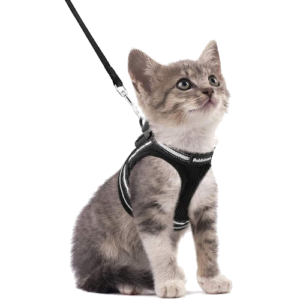 rabbitgoo Cat Harness and Leash Set for Walking Escape Proof, Adjustable Soft Kittens Vest with Reflective Strip for Cats, Comfortable Outdoor Vest, Black, S (Chest:9.0 -11.0 )