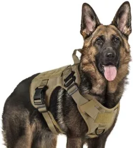 rabbitgoo Tactical Dog Harness for Large Medium Dogs