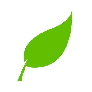 leaf icon