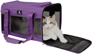 xzone pet Soft Sided carrier